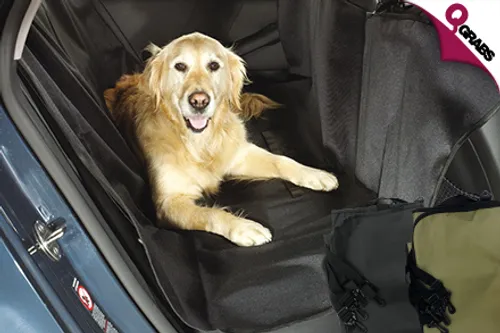 From QR39 Protect your Car with Seat & Boot Covers for Pets & More - Choose from 2 Classic Shades! (Up to QR198 Value)